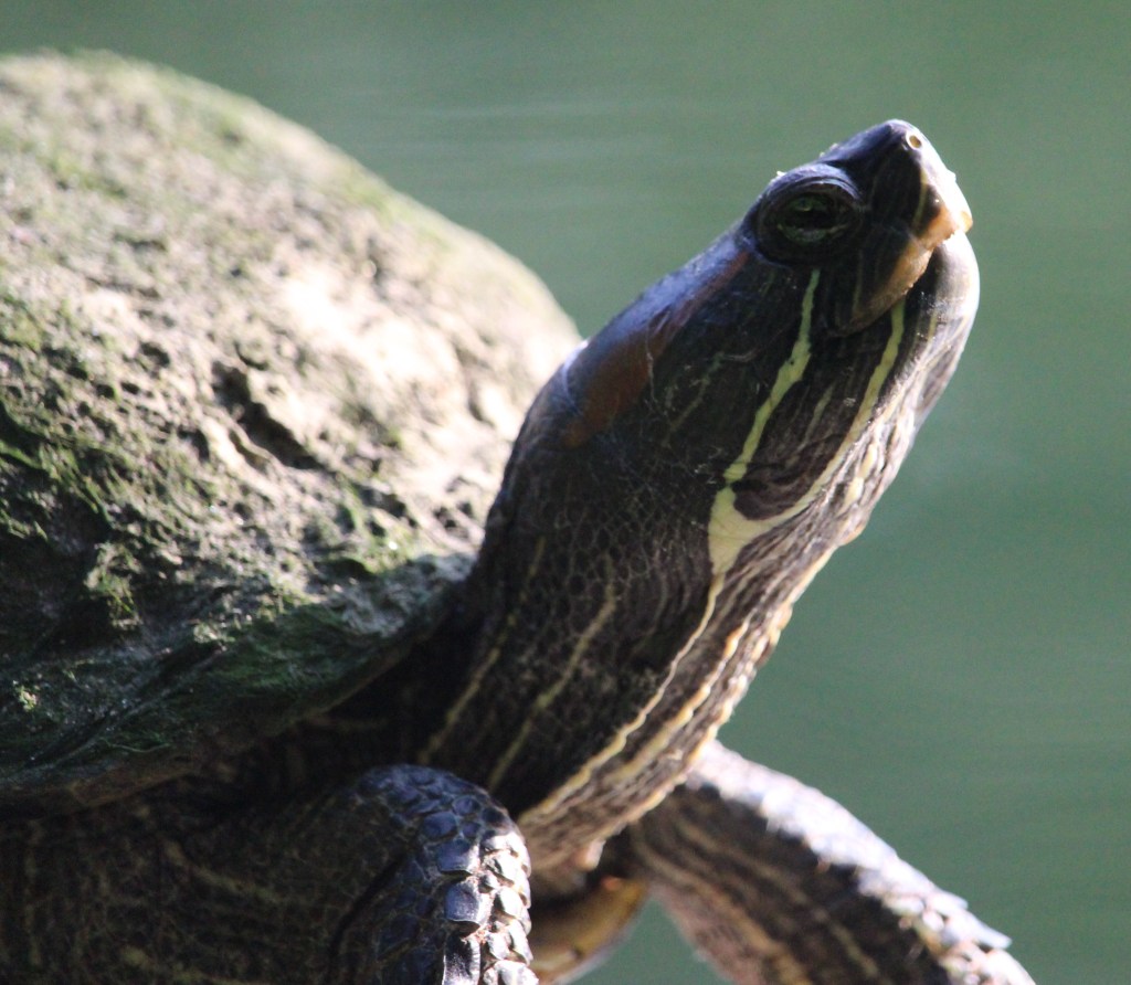 Welcome to McGravy’s Tech&nbsp;Bytes